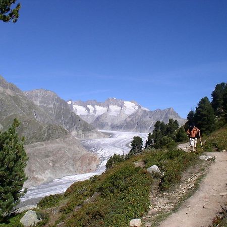 Mischabelblick Lägenhet Fiesch Exteriör bild
