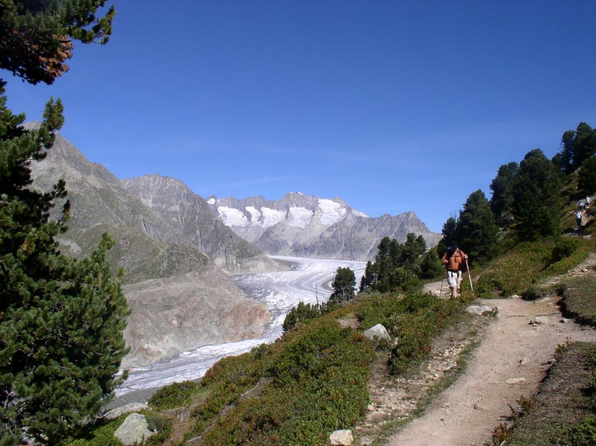 Mischabelblick Lägenhet Fiesch Exteriör bild