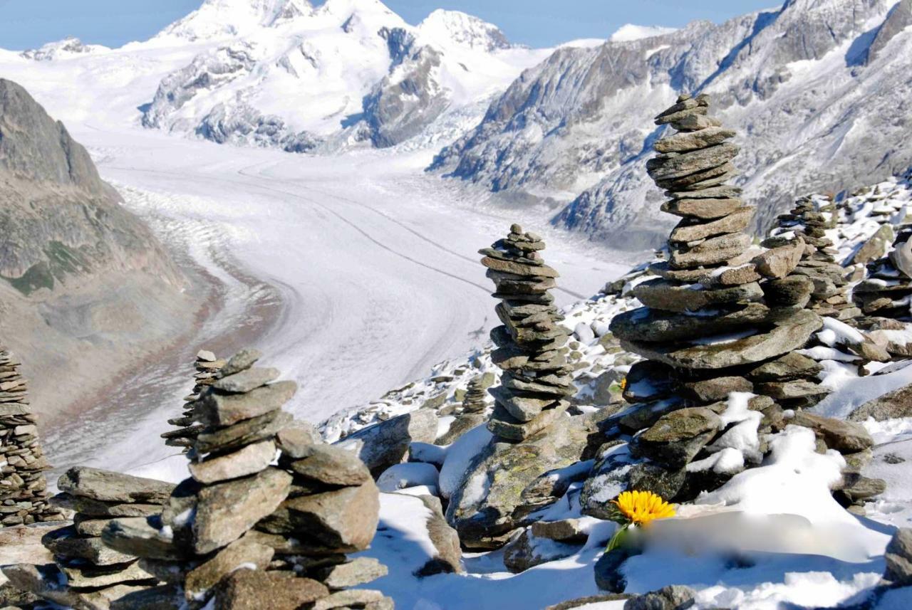 Mischabelblick Lägenhet Fiesch Exteriör bild
