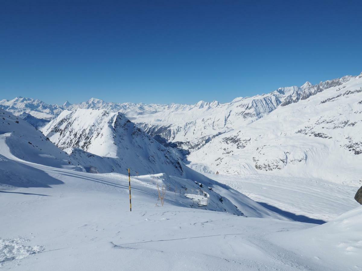 Mischabelblick Lägenhet Fiesch Exteriör bild